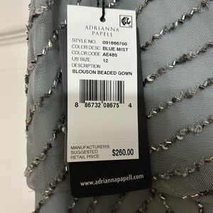 Adrianna Papell Blouson beaded dress.